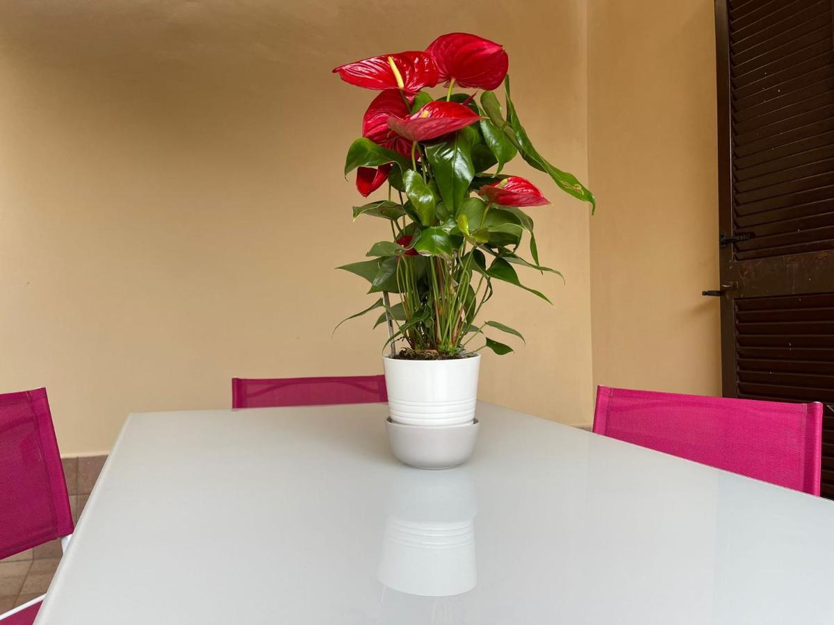 Flowers In Apartment